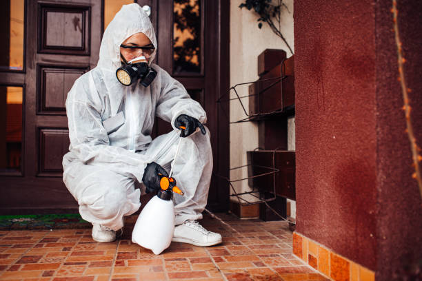 Reliable Ant Control contractor in Nashua, NH by Nex Pest Control