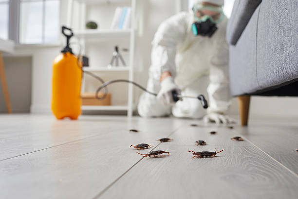 Trusted Cockroach Control service in Nashua, NH - Nex Pest Control