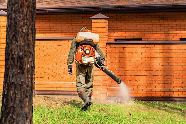 Trusted Mosquito Control service in Nashua, NH - Nex Pest Control